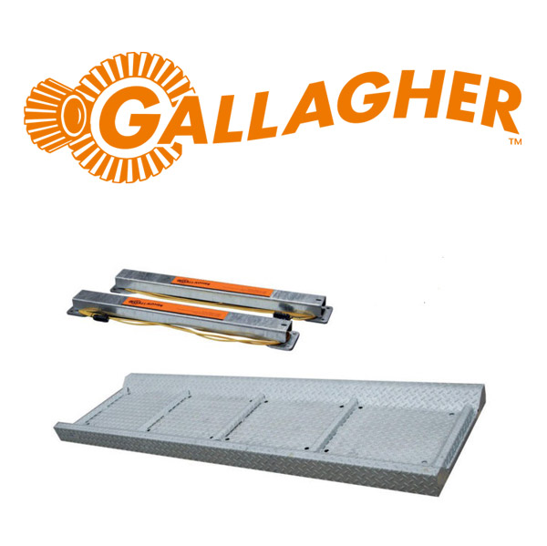 Weigh Platform C/W Load Bars