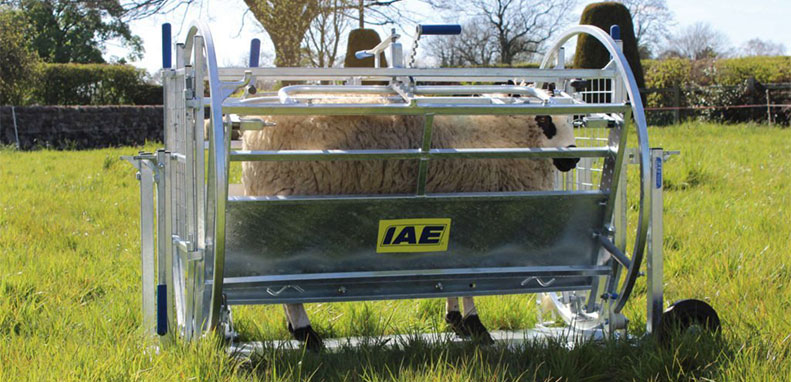 IAE Kwik Sheep Turnover Crate hm