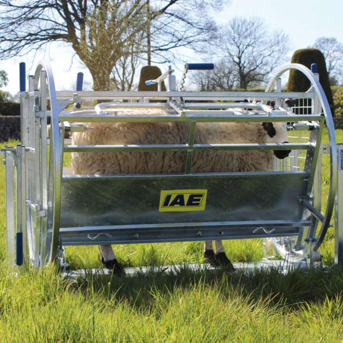 Kwik Sheep Turnover Crate