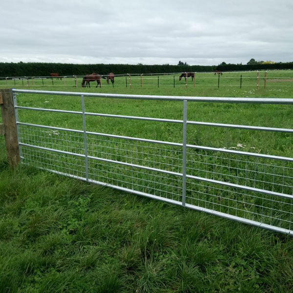 Half Mesh Horse Gate